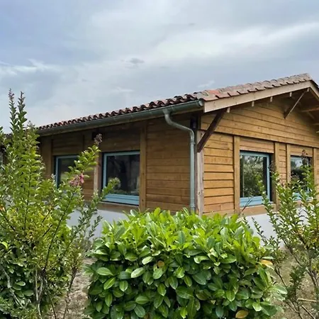4 Pers. Avec Jardin Privé, Animaux Acceptés, Confort à - Fr-1-379-136 Messanges (Landes)