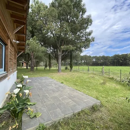 4 Pers. Avec Jardin Privé, Animaux Acceptés, Confort à - Fr-1-379-136 Villa Messanges (Landes)