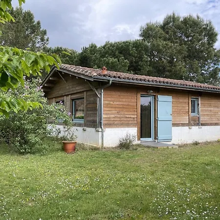 Villa 4 Pers. Avec Jardin Privé, Animaux Acceptés, Confort à - Fr-1-379-136 Messanges (Landes)