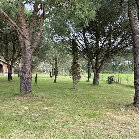 4 Pers. Avec Jardin Privé, Animaux Acceptés, Confort à - Fr-1-379-136 Villa Messanges (Landes)